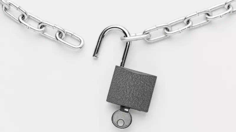 LOCKSMITHING PROFESSIONALS